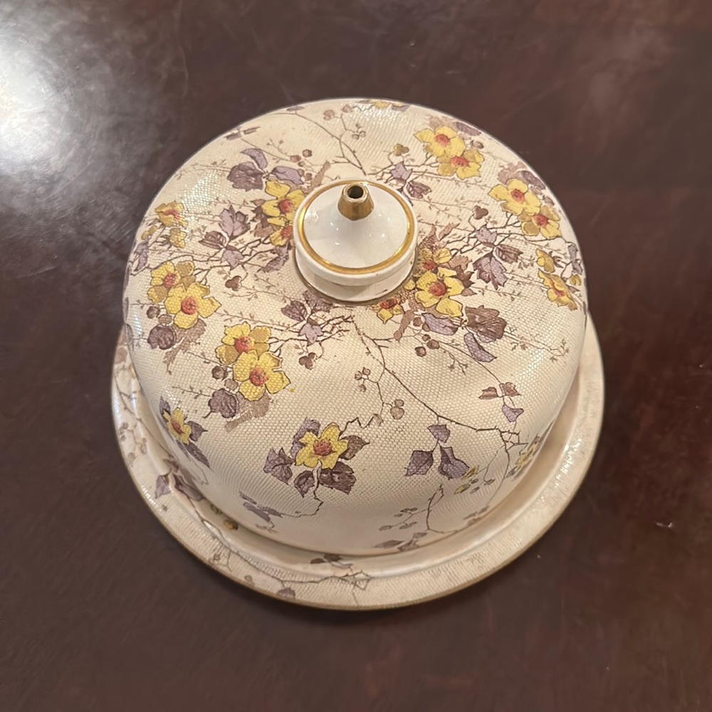 Vintage Royal Doulton Cheese Cloche
